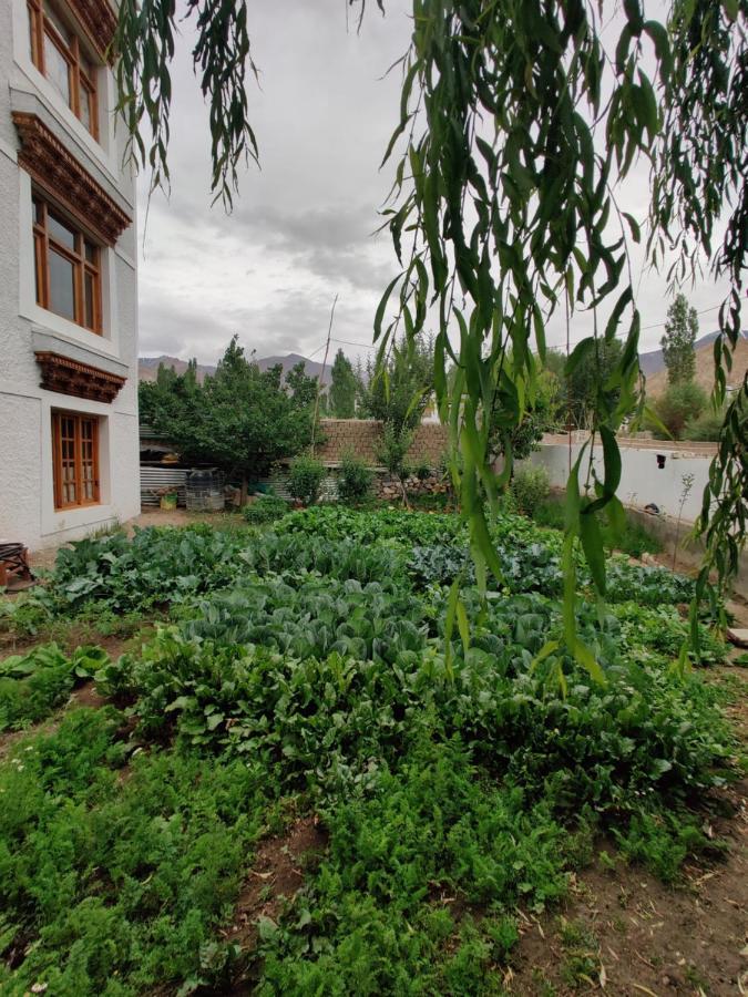 Namra Villa Leh Exterior photo